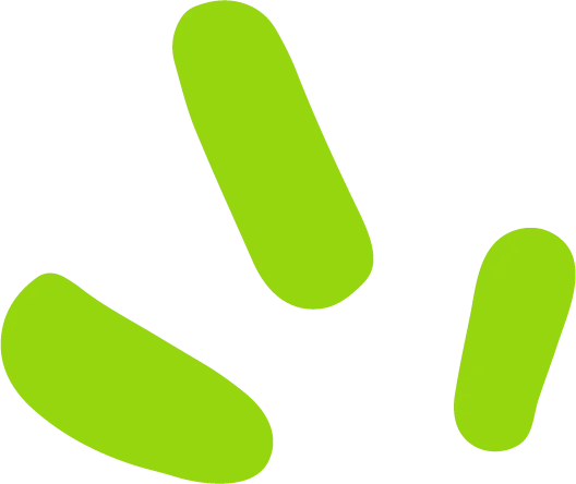 Filter Icon
