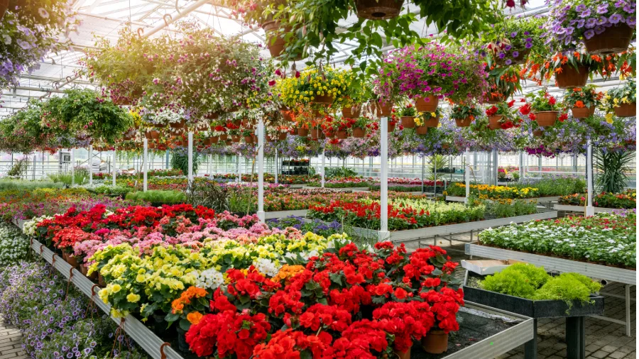 Interflora accélère sa stratégie d’expansion data en Europe grâce à Fivetran